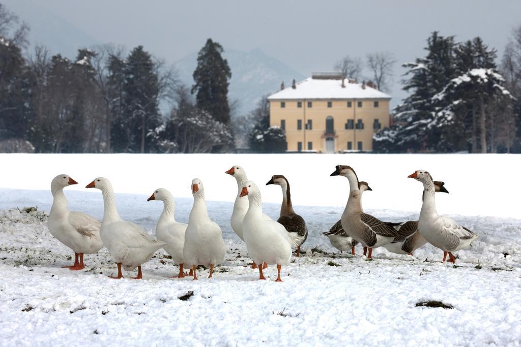 Agriturismo Il Torrione بينيرولو المظهر الخارجي الصورة