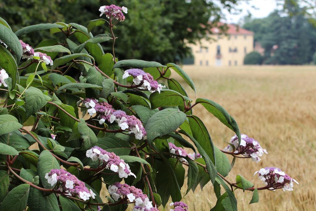 Agriturismo Il Torrione بينيرولو المظهر الخارجي الصورة